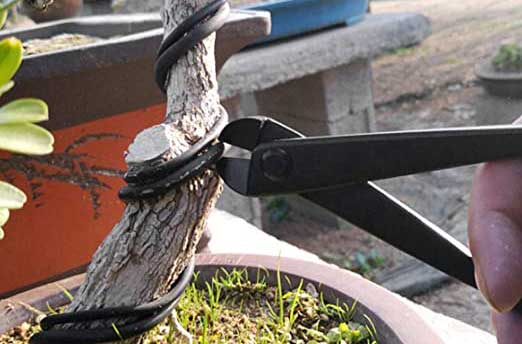 cortador alambre bonsai